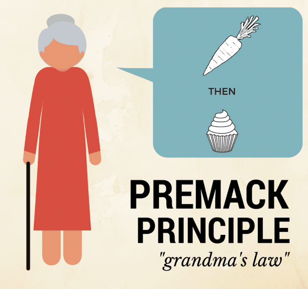 Premack Principle