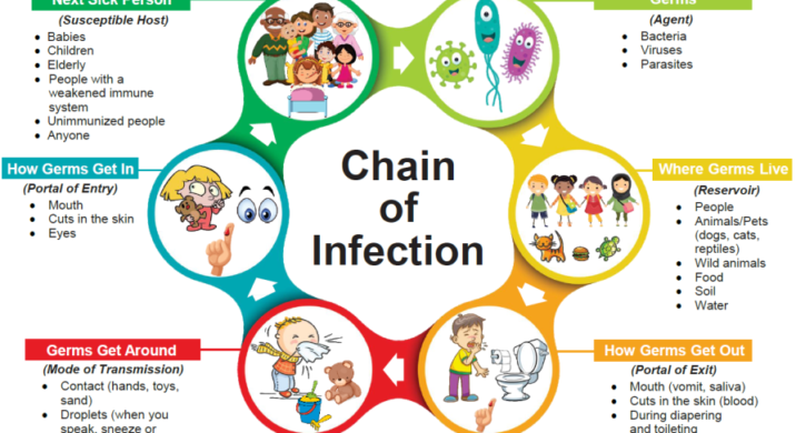 susceptible host chain of infection - Get Education