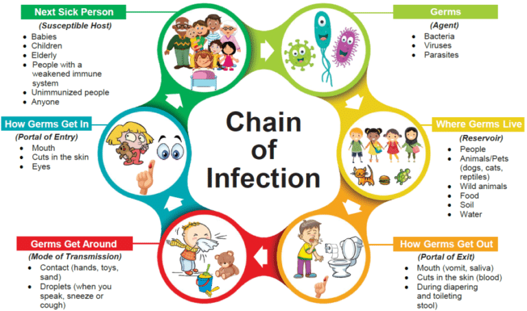 What Is A Reservoir Host In The Chain Of Infection Quizlet