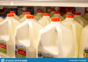 How Much a Gallon Of Milk Weigh