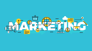 Everything you need to know about Marketing Degree