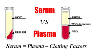 Serum VS Plasma – Differences Explained