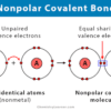 Polar and Nonpolar Covalent Bonds Explained