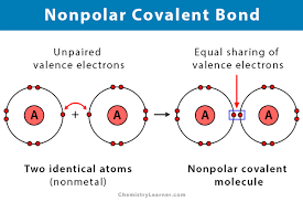 Polar and Nonpolar Covalent Bonds Explained